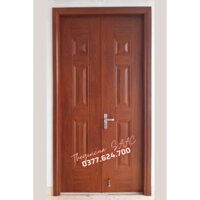 Cửa Thép Vân Gỗ 2 cánh Việt Thái Door