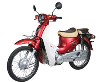 CUB 81 HALIM 50CC BẢN ĐẶC BIỆT