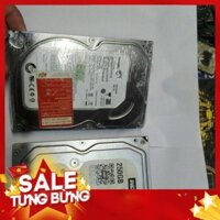 [CỰC CHẤT] Ổ Cứng máy vi tính để bàn 250G