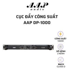Cục đẩy công suất AAP DP-1000