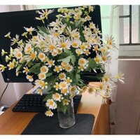 Cúc hoạ mi giấy, Cúc tana giấy mỹ thuật