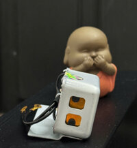 Cục kêu báo Xi nhan ting tong