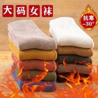 Cực Lớn Plus Béo Plus Size 42 Tất Dày Nữ Mùa Đông Lông Cừu Cực Dày Ấm Cotton Nguyên Chất Giữa Đầu Tất Cực Lớn 43 Dài Tất Cotton