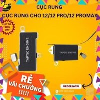 Cục Rung Zin Bóc Máy Cho iP 12/12 Pro/12 Promax - Bảo Hành 12 Tháng DGG