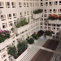 (CỰC SỐC) (GIÁ SỐC) Bộ 1 chậu nhựa trồng rau và kệ treo ban công màu xanh 63cm x 22cm x 19cm