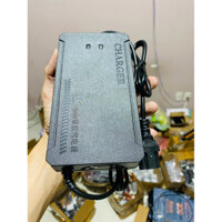 Cục xạc xe điện 48v 12A xe đạp điện cap a 133 , xe điện 4 bình ắc quy nhỏ