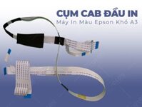 Cụm Cáp đầu in máy in màu Epson A3