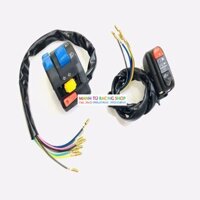 cùm công tắc FZ nút xanh K4