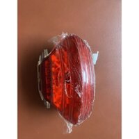 Cụm đèn hậu xe điện Zoomer