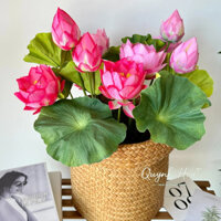Cụm hoa sen giả, dài 55cm, 3hoa lớn để bàn dùng trang trí nhà cửa/spa, văn phòng quynhhoa 04Set09