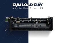 Cụm load giấy máy in màu Epson A3