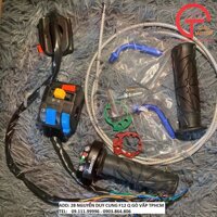 CÙM TĂNG TỐC DOMINO 2 DÂY GA, BAO TAY CÙM CÔNG TẮC DÂY GA THÁI,ỐNG GA MÀU DOMINO GẮN MỌI LOẠI XE