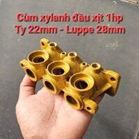 Cùm xylanh đầu xịt 1hp ty 22 luppe 28