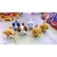 Cún bông biết đi, sủa, lăn lộn siu cute