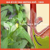 Cung cấp sỉ Cây Rau Mương khô giá bán 10kg