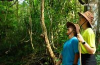 CÙNG GIỌT LÀNH – LẮNG NGHE HƠI THỞ CỦA RỪNG