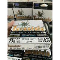 CƯỚC CÂU CÁ TARANTULA 100m – NHỆN