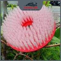 Cước Chà Bạt Vệ Sinh Rong Rêu Dùng Cho Ao Nuôi, Mặt Bê Tông