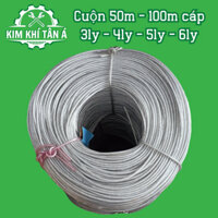 Cuộn 50 mét, 100 mét cáp 3ly, 4ly, 5ly, 6ly, 8ly, 10ly dây cáp bọc nhựa, dâu cáp mạ kẽm bọc nhựa - TÂN Á SÀI GÒN