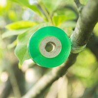 Cuộn băng ghép cành BGC-2, Cuộn phim ghép cây, Băng nilon ghép cành tự dính 2cm
