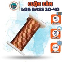 Cuộn cảm cho Phân tần Loa Bass Lớn - Sub