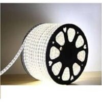 Cuộn đèn led dây 4040 dài 100m 220v
