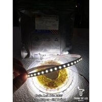 Cuộn Led Dây Dán 5M 12V 120 Led/m 2835 Led Dán Siêu Sáng Siêu Bền Loại Tốt Trang Trí Tủ Bếp, Kệ Trưng Bày