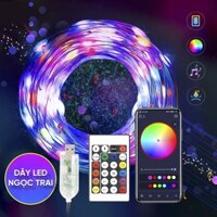 Cuộn Led Nháy Đuổi 10m, 15m Dây Đèn RGB 5v Nháy Theo Nhạc, Loại Cao Cấp Có Điều Khiển Smart fairy lights