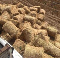 Cuộn rơm trang trí Tết cổ truyền - S000896