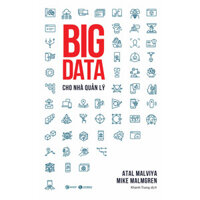 Cuốn sách gối đầu giường cho mọi CEO BIG DATA Cho Nhà Quản Lý