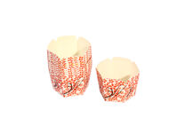Cup Giấy Lục Giác