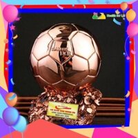 Cúp lưu niệm bóng đá Màu Vàng Bạc Đồng