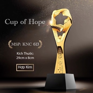 Cúp vàng thể thao 613