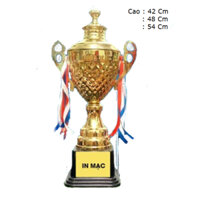 Cúp Vàng Thể Thao, Bóng Đá – CV 503