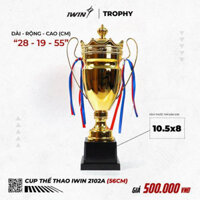 Cúp Vàng Thể Thao, Bóng Đá iWin 2102