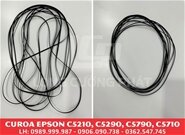 Curoa máy in Epson C5210/ C5290 / C5710/ C5790