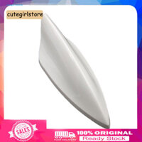 Cute _ Stylish Universal Auto Car Roof Shark Fin Signal Antenna FM / AM Radio trên không