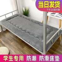 Cừu Lông Cừu Ấm Ký Túc Xá Bốn Mùa Hai Mặt Nệm Mềm Sinh Viên Ký Túc Xá Đôi Những Điều Tốt Đẹp Nệm Đơn Đệm Giường