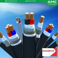 CVV-4x25 - 0,6//1kV/ Cáp điện lực hạ thế - 0,6/1kV, TCVN 5935-1 (4 ruột đồng, cách điện PVC, vỏ PVC)
