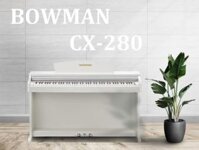 CX280 WH