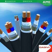 CXV-4x25-0,6//1kV/Cáp điện lực hạ thế - 0,6/1kV, TCVN 5935-1 (4 lõi, ruột đồng, cách điện XLPE, vỏ PVC)