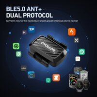Cyclami Xe Đạp Cadence Cảm Biến Tốc Độ Đồng Hồ Tốc Độ ANT + Truyền Không Dây Cho Garmin XOSS IGPSPORT Bryton Magene Geoid Coospo Blackbird Chu Kỳ Xe Đạp GPS Máy Tính