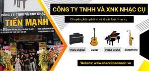 Cymbal Roland CY-12C