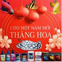 CZ dành cho cá Rồng