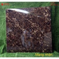 [D1018] Nhện Nâu Cao Cấp