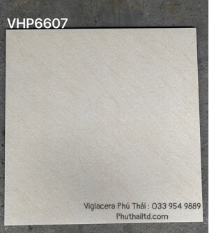 Đá bán sứ mờ Viglacera 60x60 VHP6607