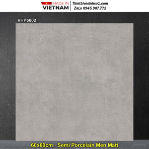 Đá bán sứ mờ Viglacera 60x60 VHP6602