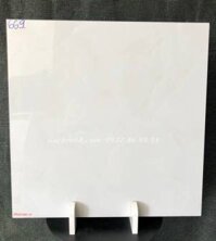 Đá bóng kiếng ct669 - Gachre98 Gạch lát nền phòng khách.