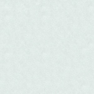 Đá bóng kiếng Tasa 80x80 8003