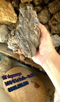 Đá Da Voi 20.000đ/kg